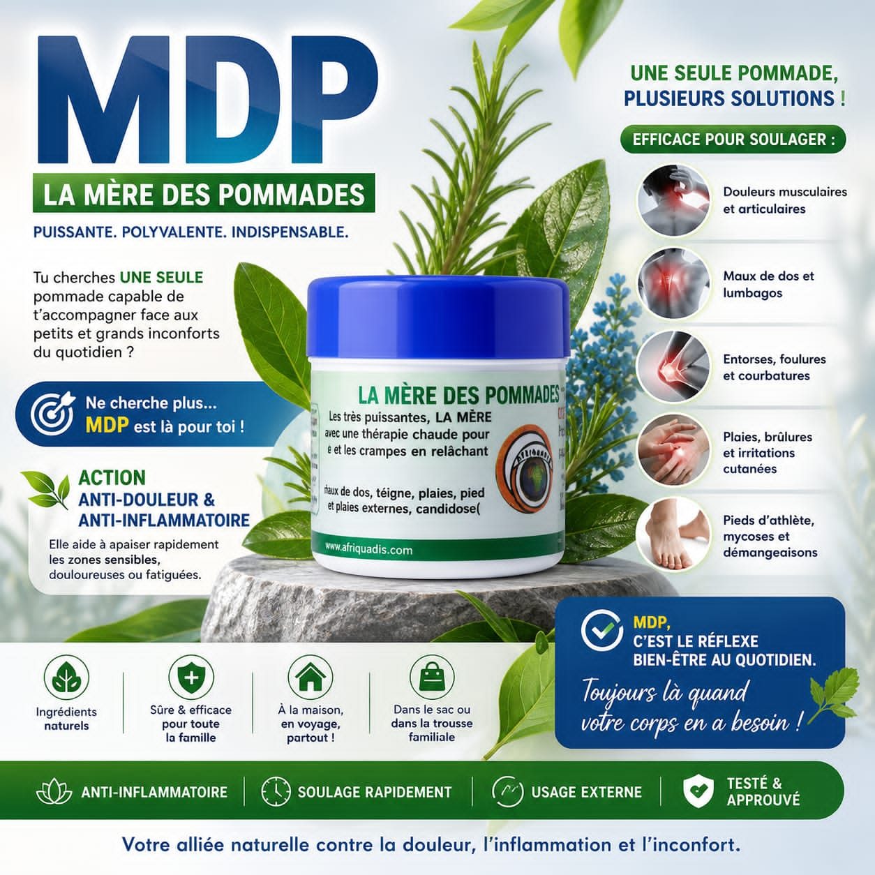 Nouvelle Collection
